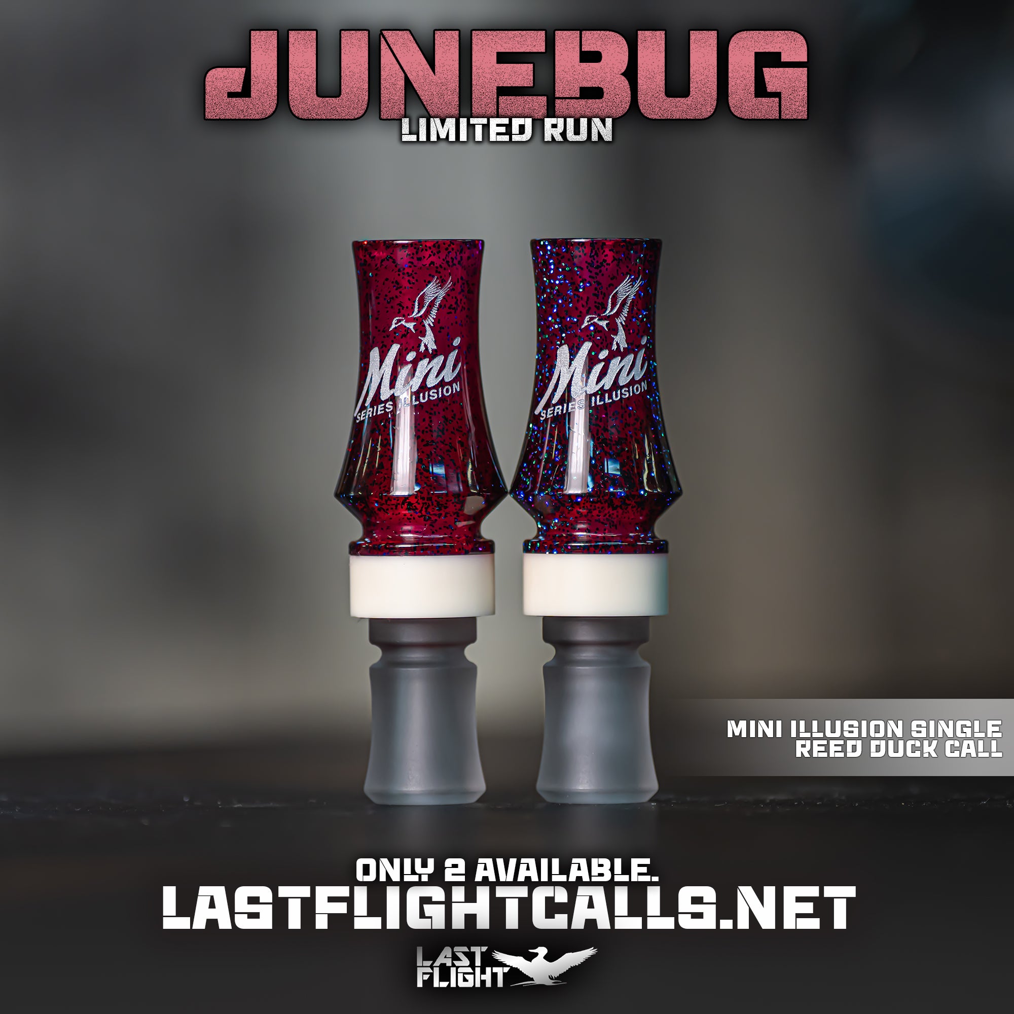 JUNEBUG | LIMITED RUN