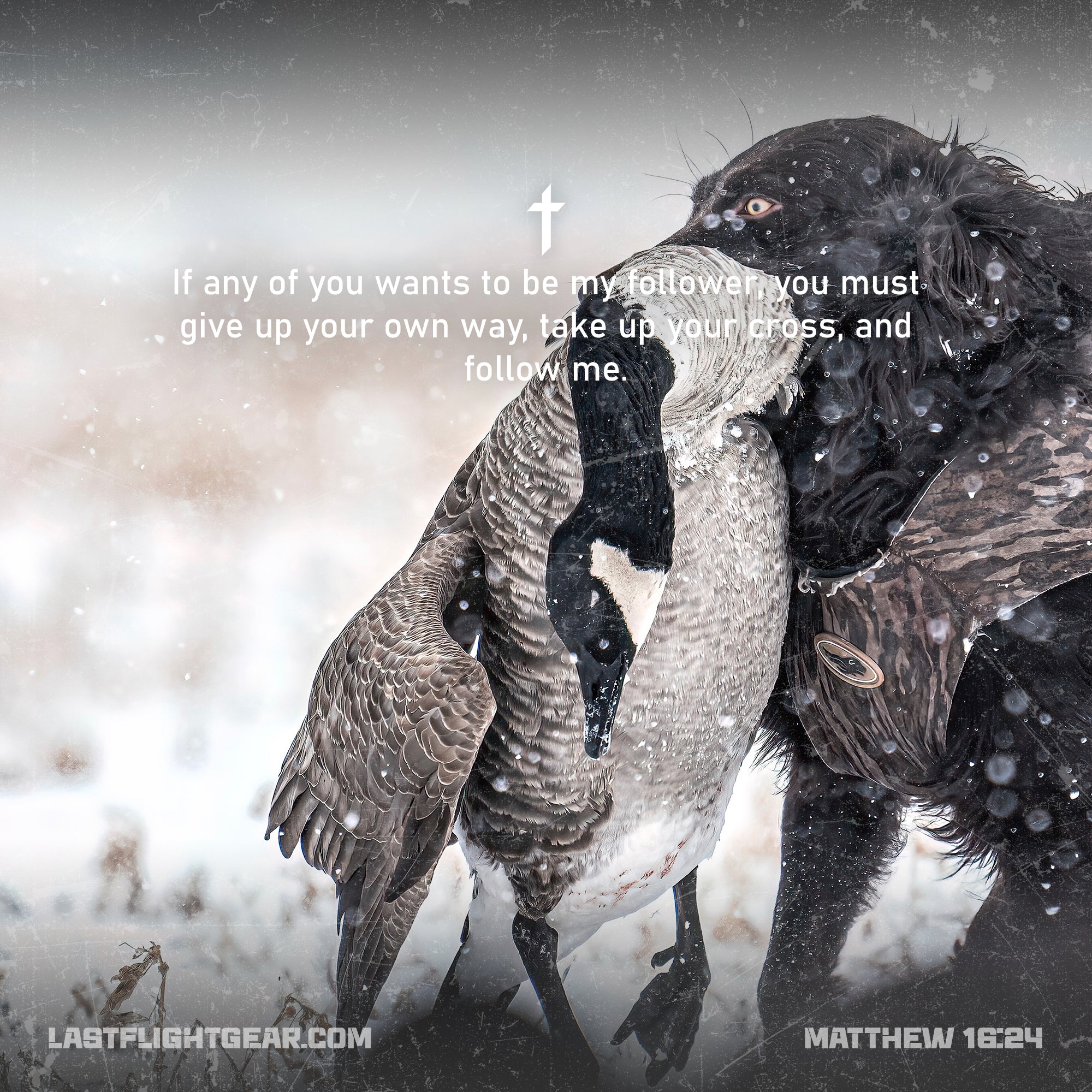 Matthew 16:24