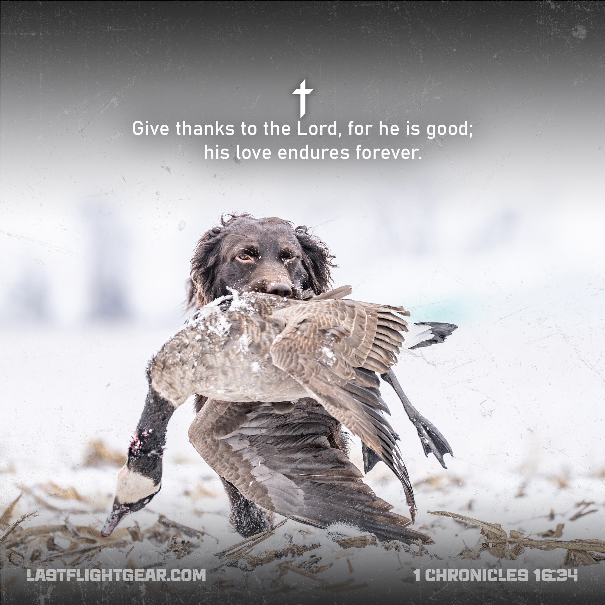 1 Chronicles 16:34