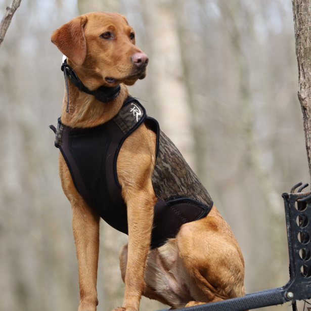 2.0 Sure Fit Waterfowl Dog Vest