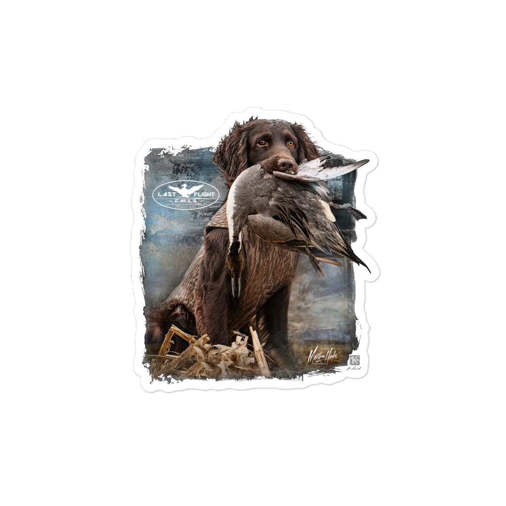 "Boykin w/Pintail" Sticker