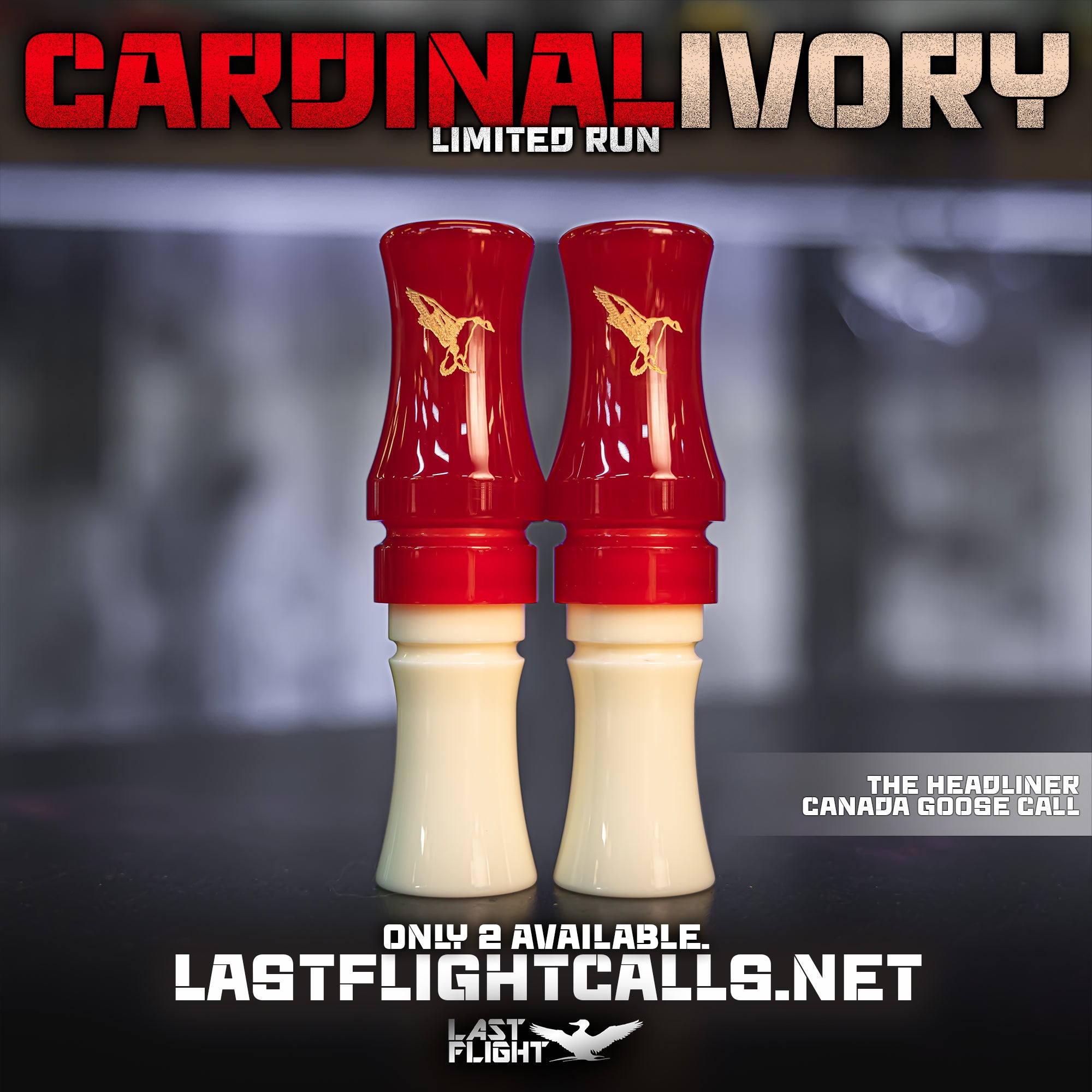 CARDINAL IVORY | LIMITED RUN