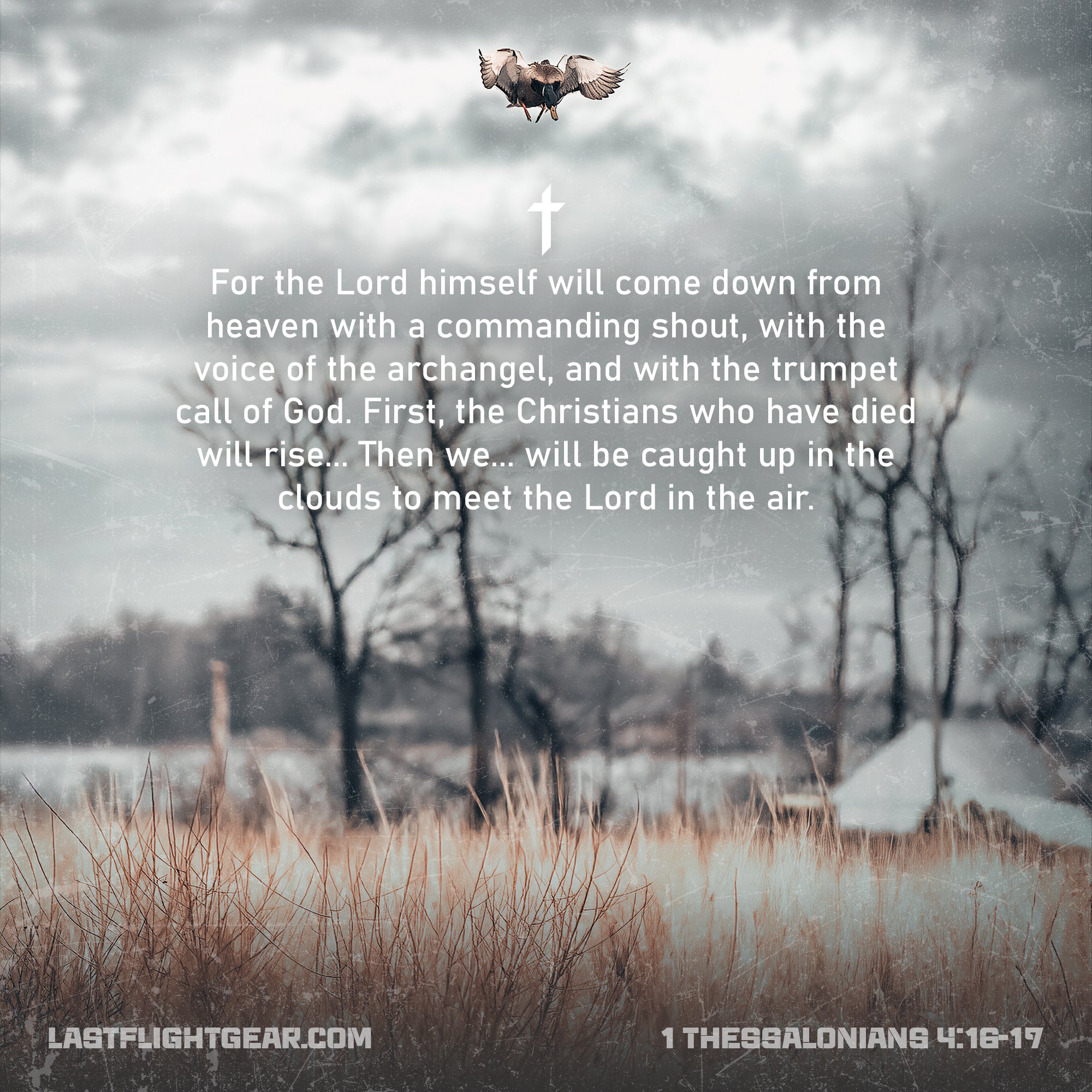 1 Thessalonians 4:16-17