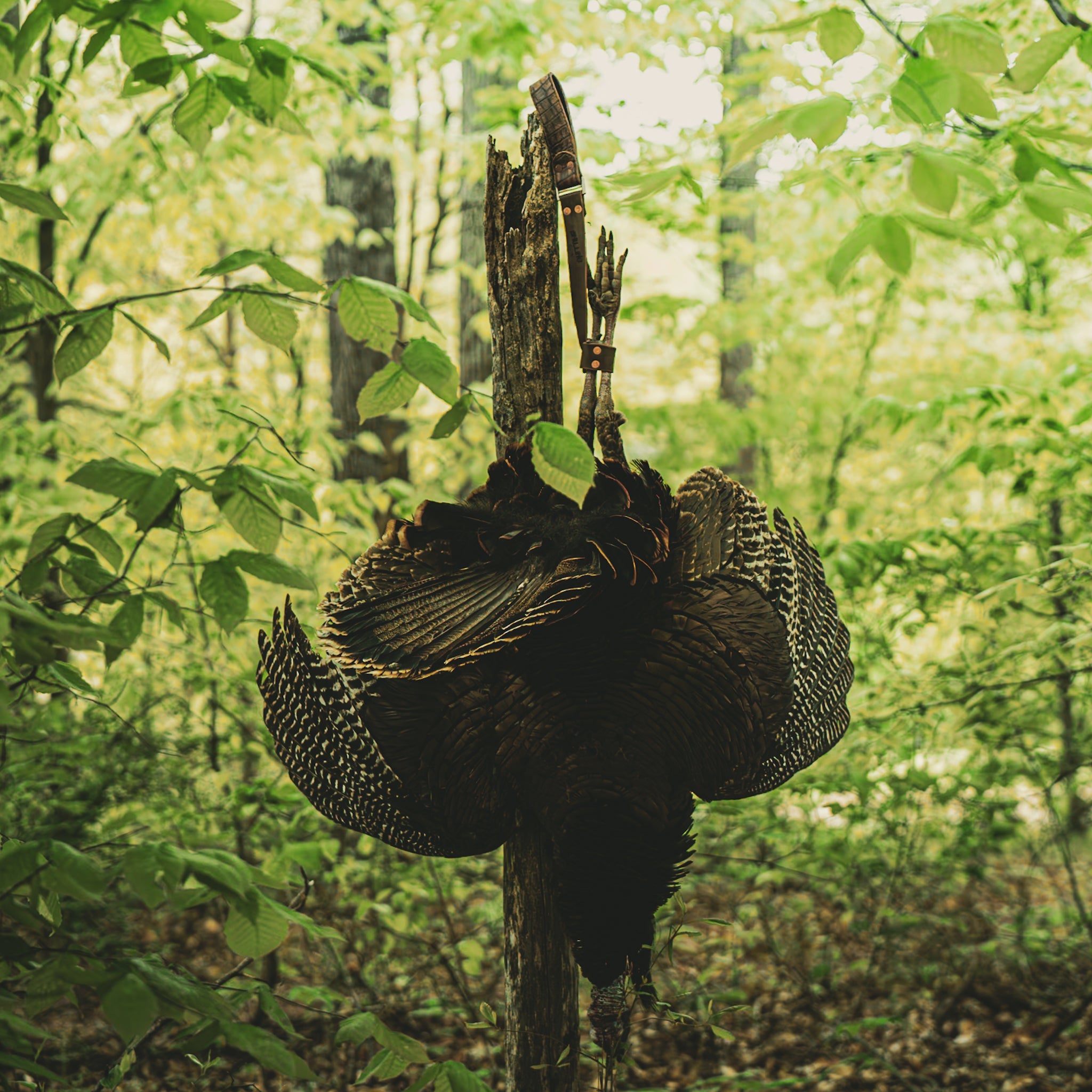 Custom Leather Turkey Tote