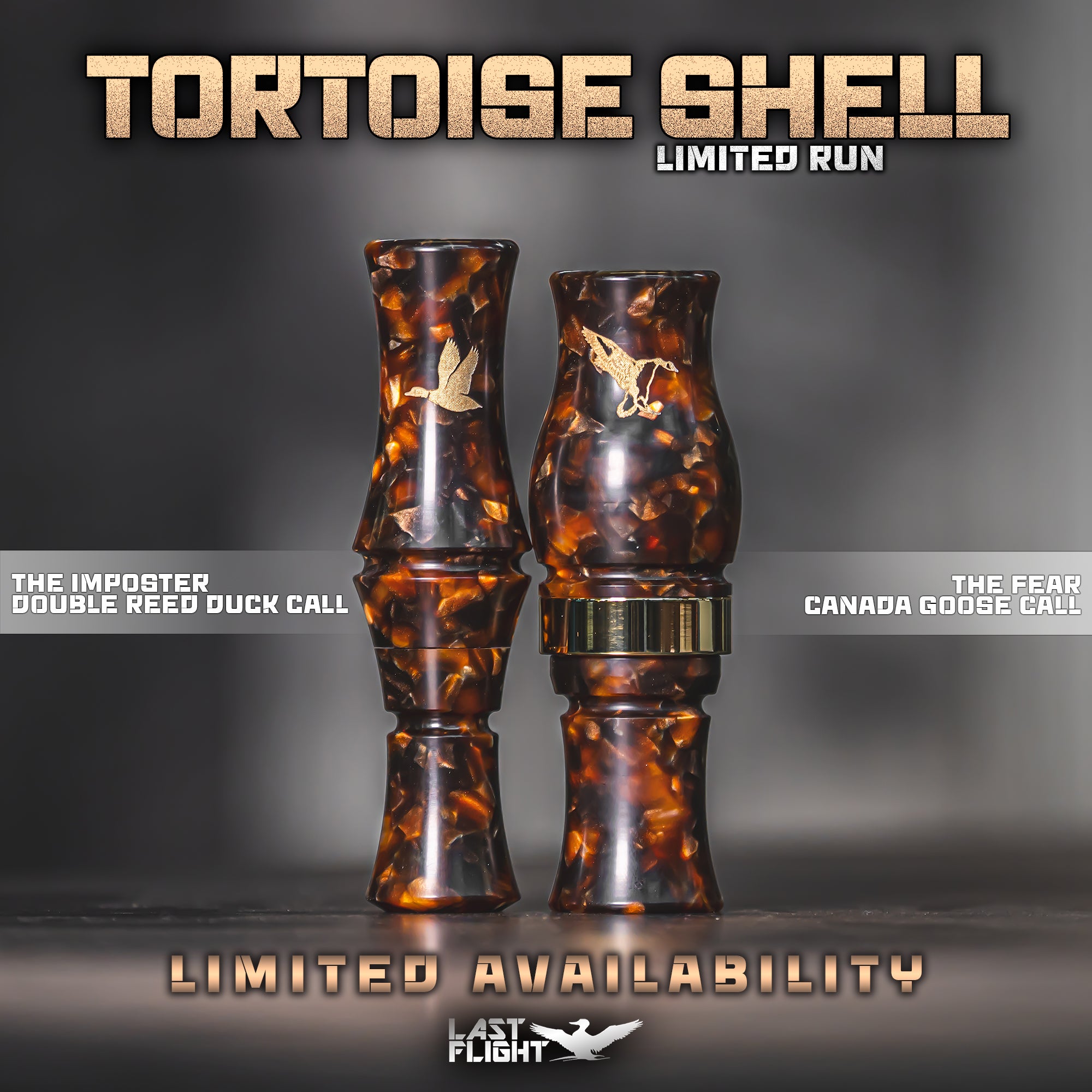 TORTOISE SHELL | LIMITED RUN