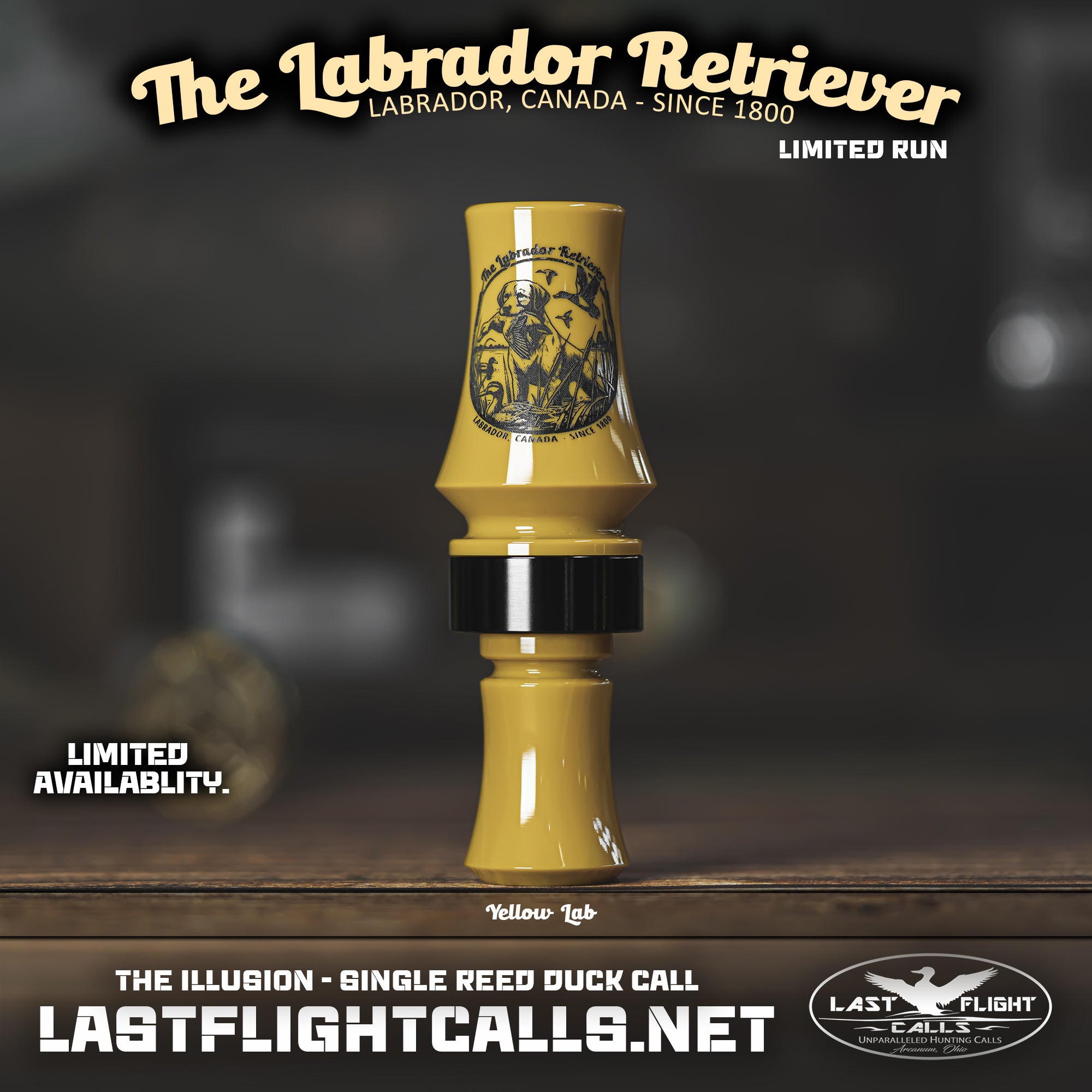 LABRADOR RETRIEVER | LIMITED RUN