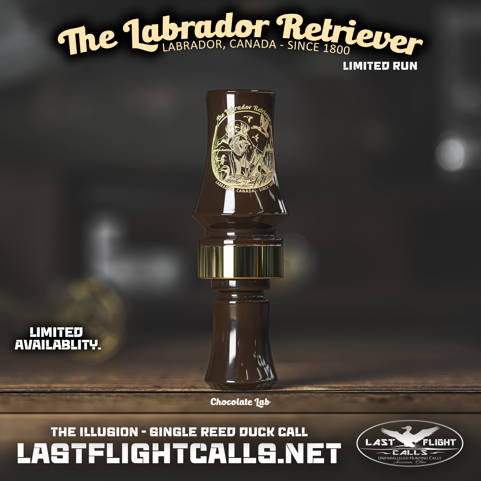 LABRADOR RETRIEVER | LIMITED RUN