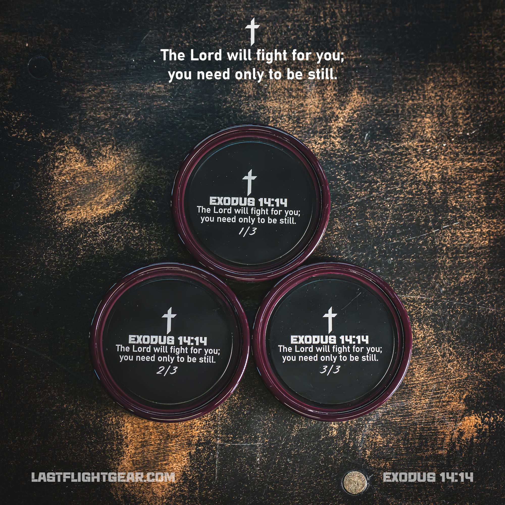 Exodus 14:14