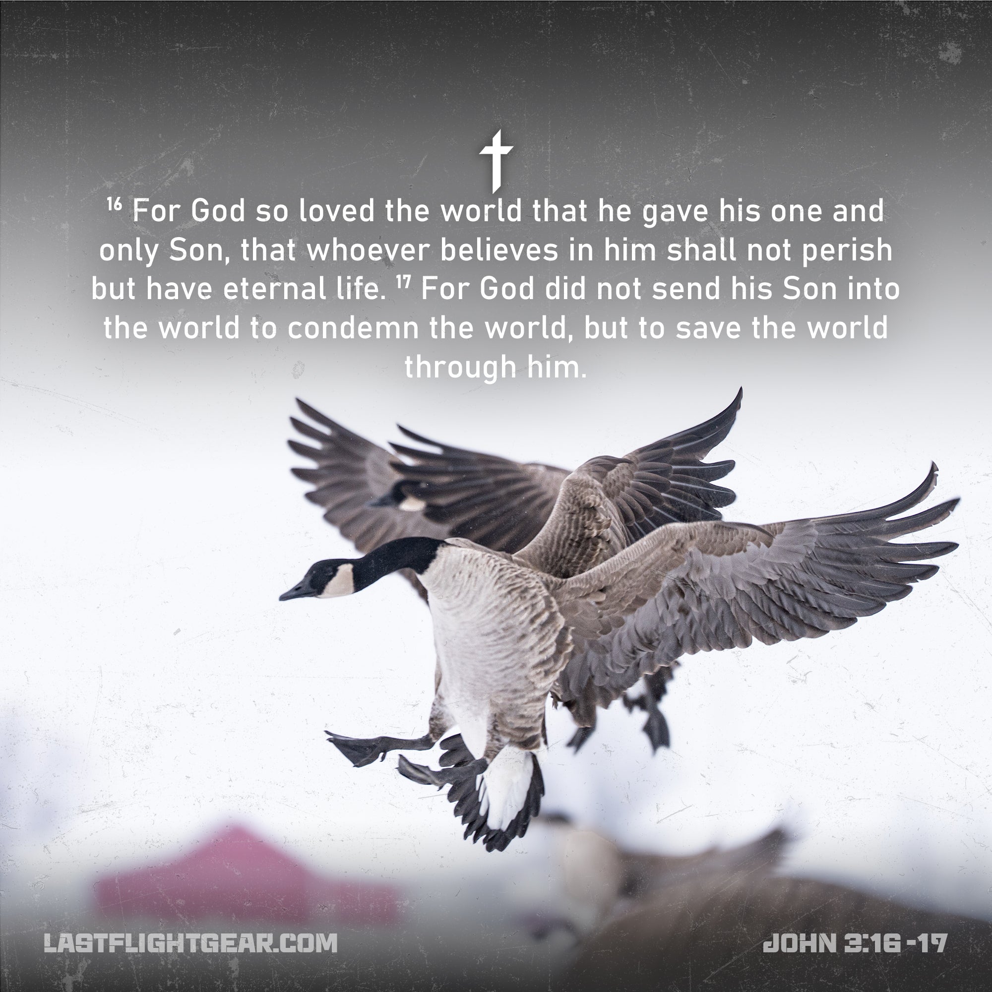 John 3:16-17