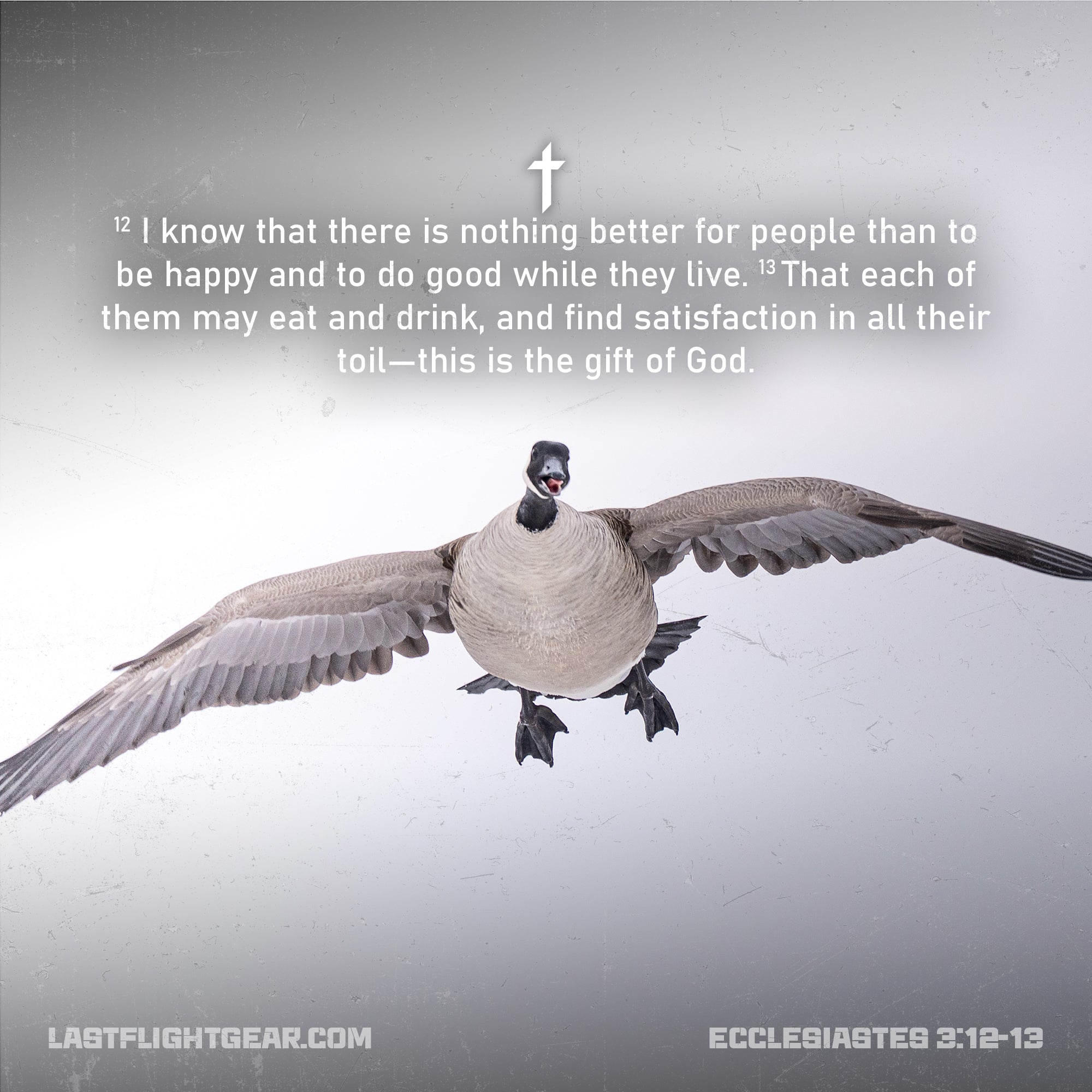 Ecclesiastes‬ ‭3‬:‭12‬-‭13‬