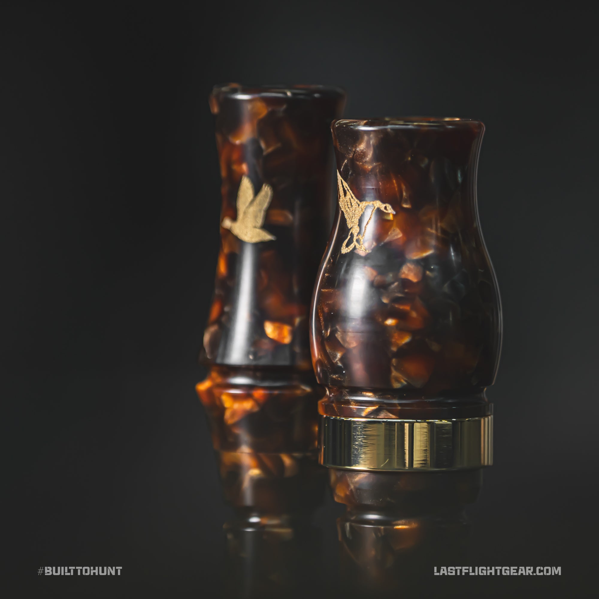 TORTOISE SHELL | LIMITED RUN