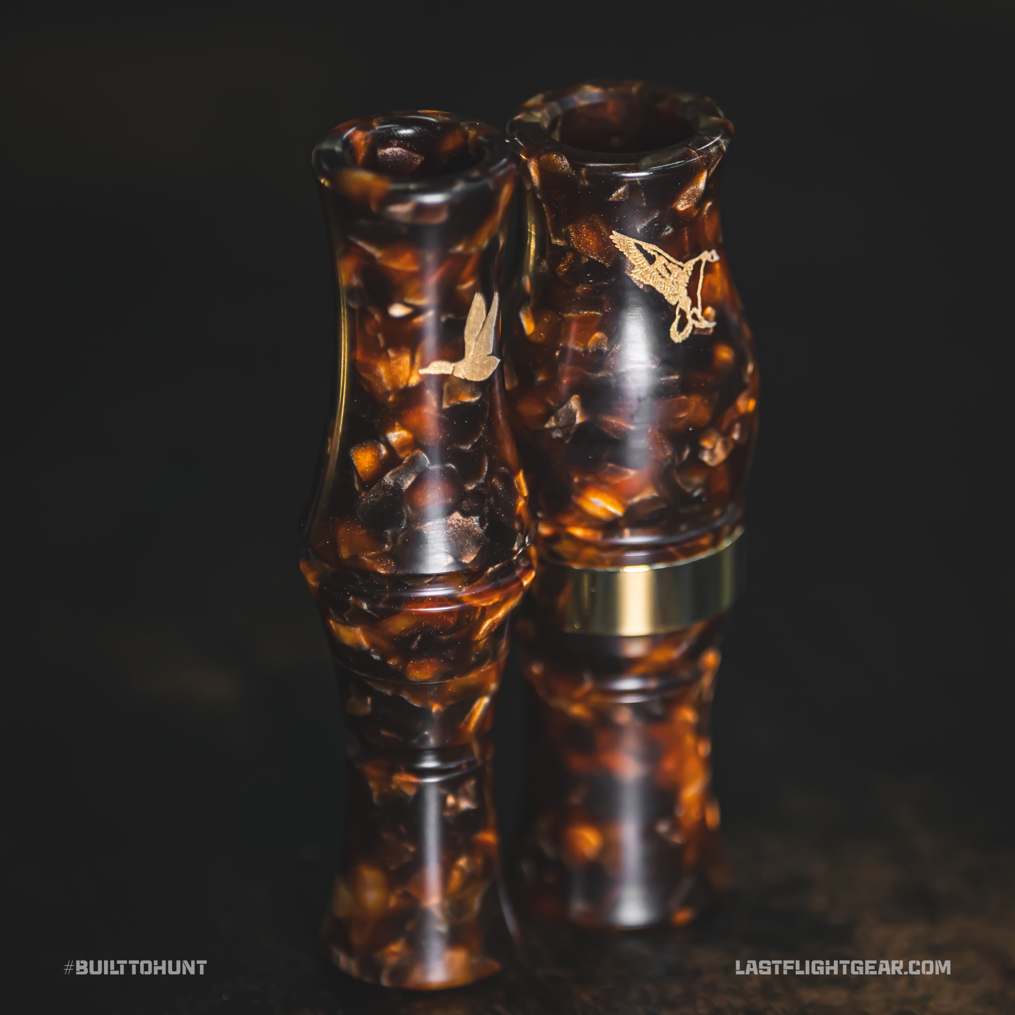 TORTOISE SHELL | LIMITED RUN