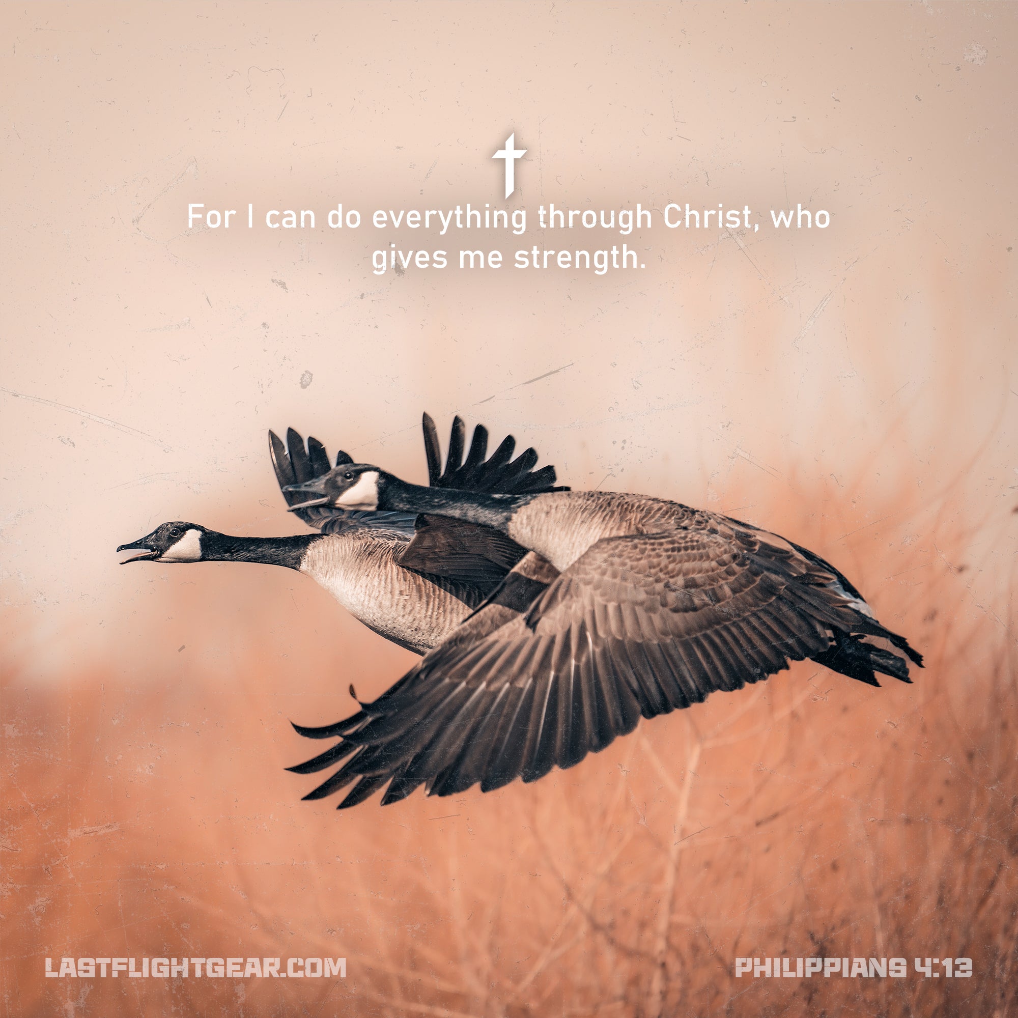 Philippians 4:13