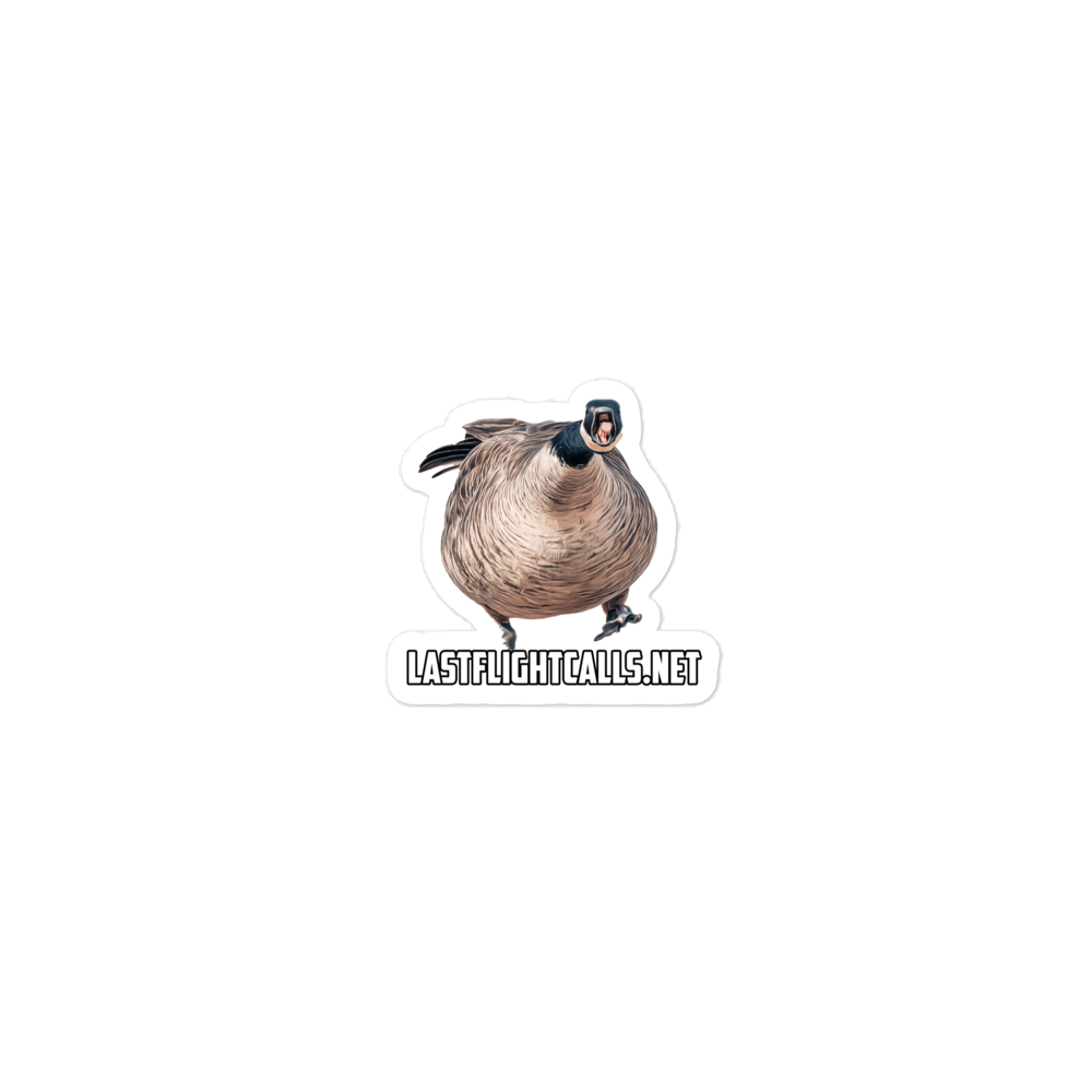 "ANGRY GOOSE" STICKER