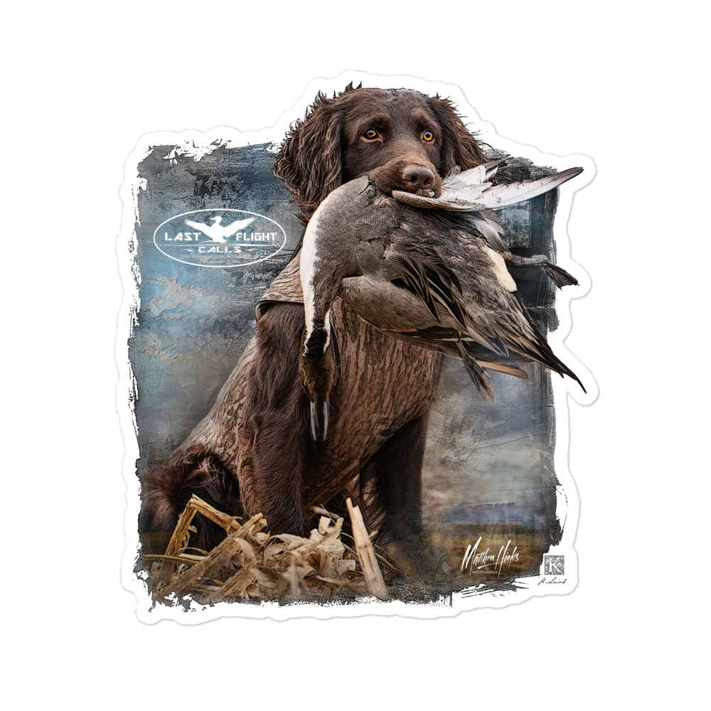 "Boykin w/Pintail" Sticker