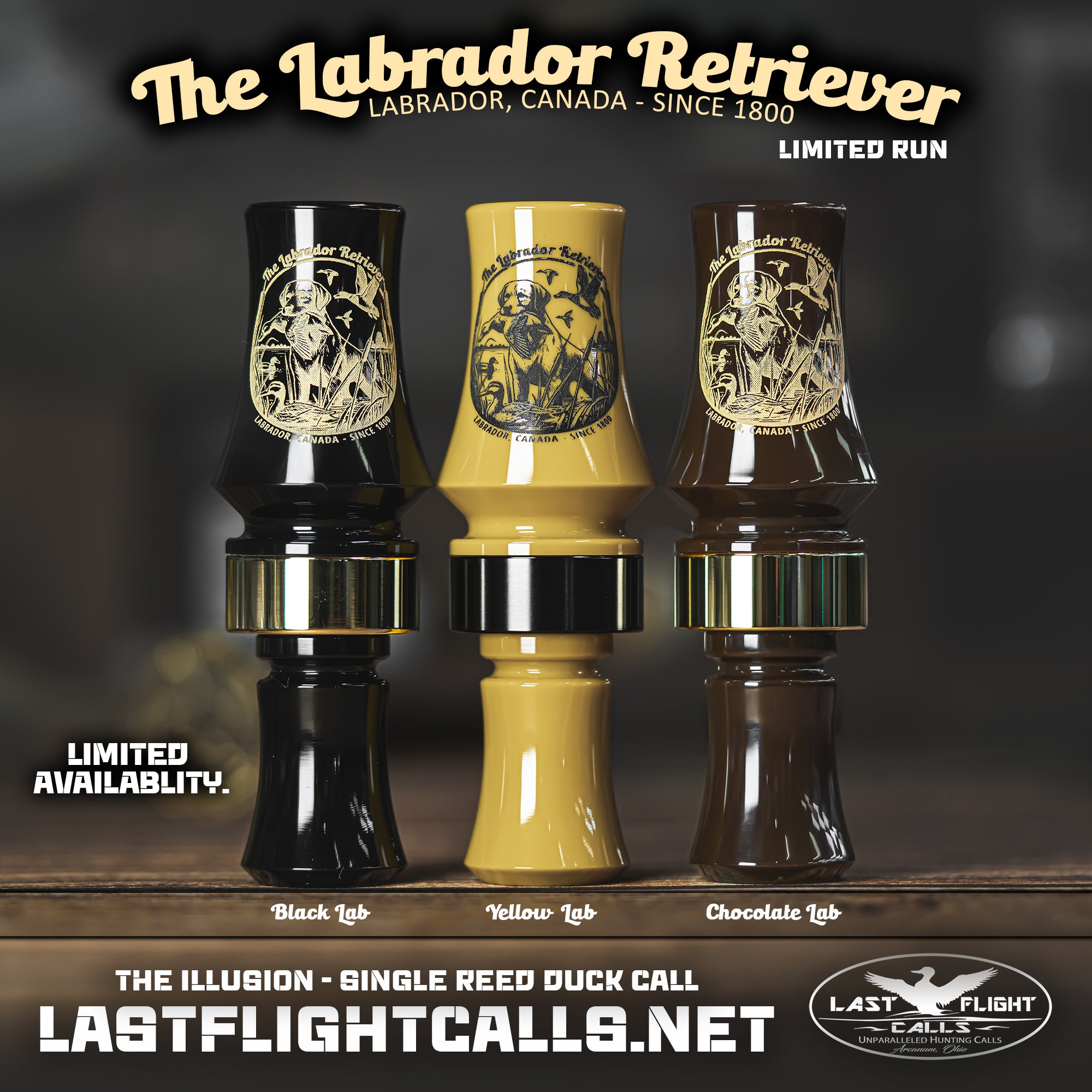 LABRADOR RETRIEVER | LIMITED RUN