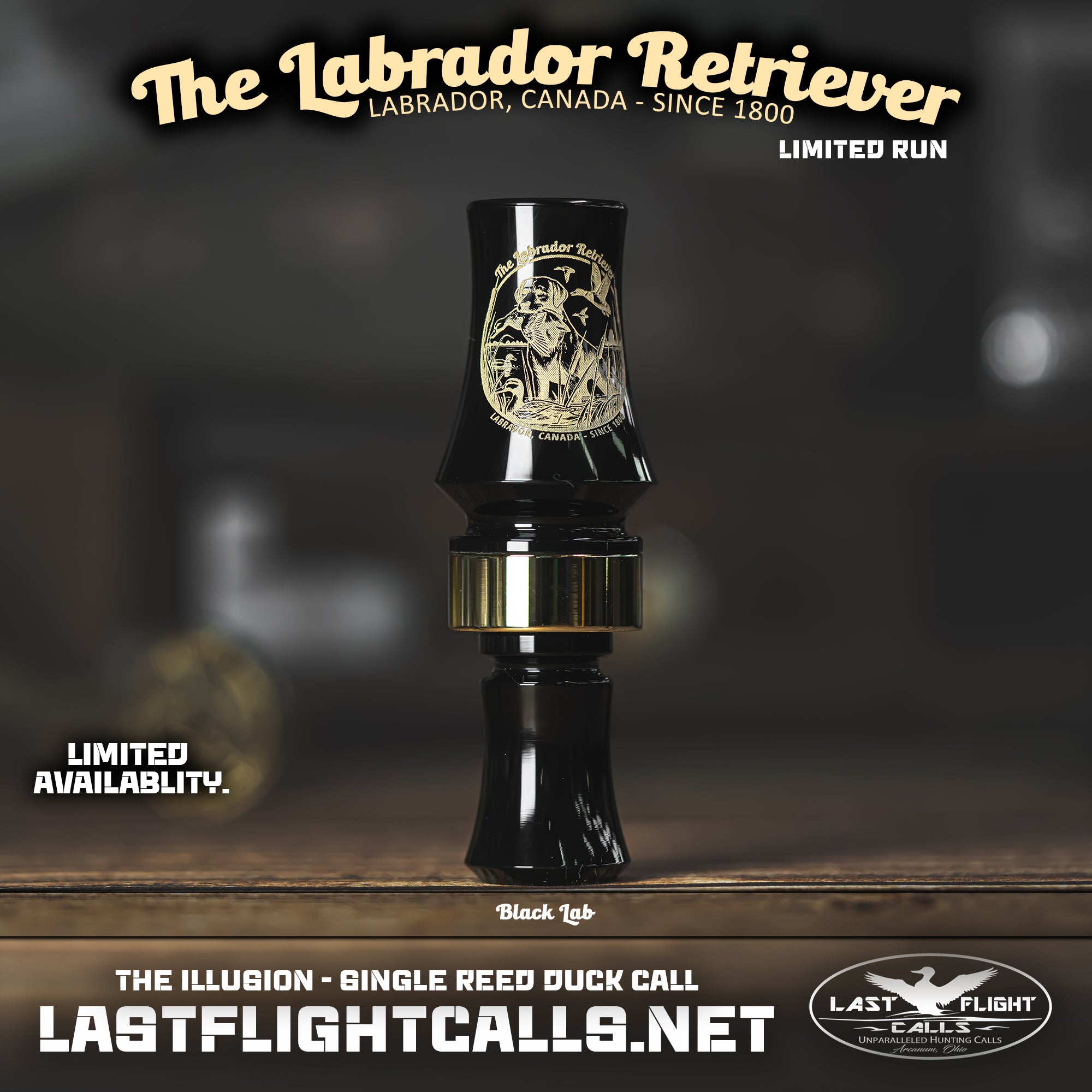 LABRADOR RETRIEVER | LIMITED RUN